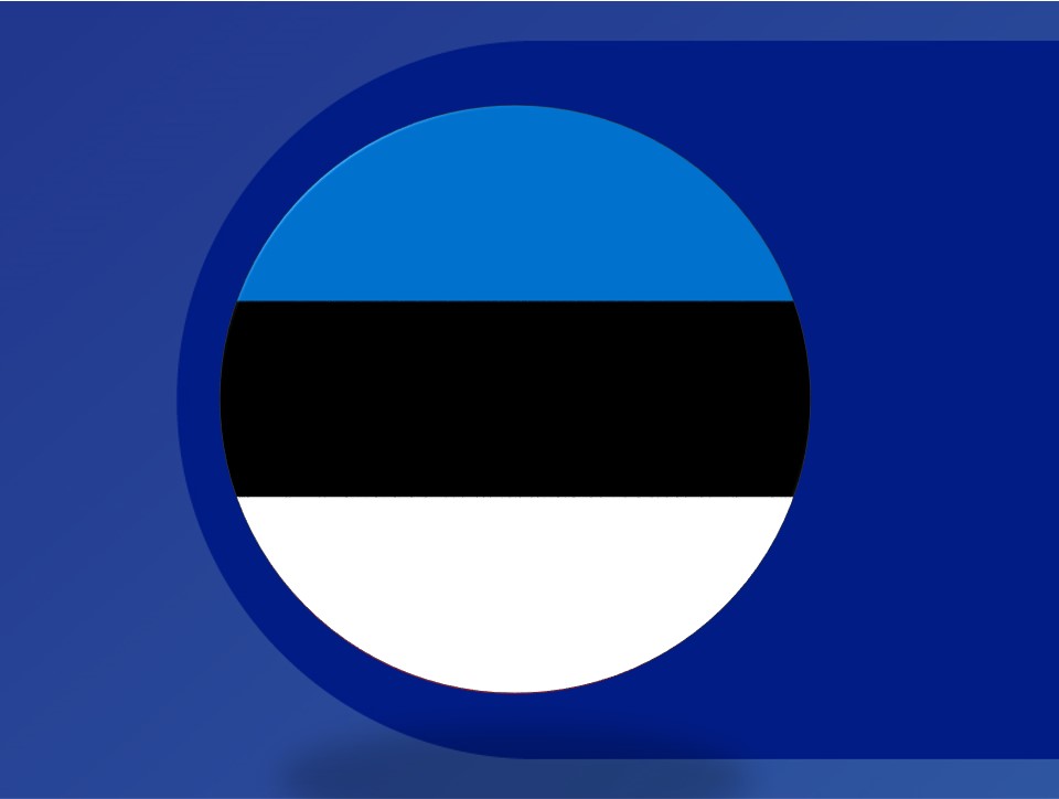 Open data portals around Europe: Estonia supporting open data usage for research and data-driven decisions